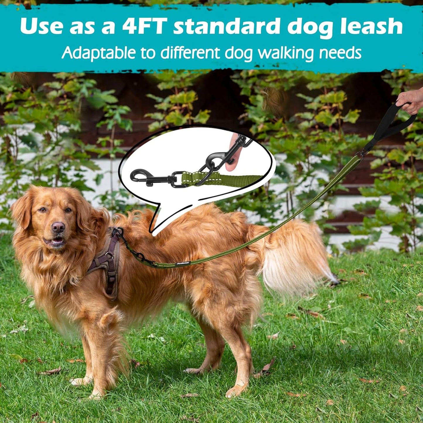 PetBonus Two Point Control Dog Leash, Works with No Pull Harnesses, No Tangle Dog Training Leashes, No Pull Padded and Reflective Walking Lead, Converts to Single Leash for Large Dogs (Khaki Green)