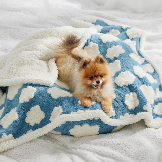 LE SURE Waterproof Dog Blankets for Small Dogs Cute Cozy 3D Jacquard,25x35 | Puppy Blanket for Cat Aesthetic Gift, Warm Soft Sherpa Throw Washable, Reversible Pet Couch Protector, Clouds Blue