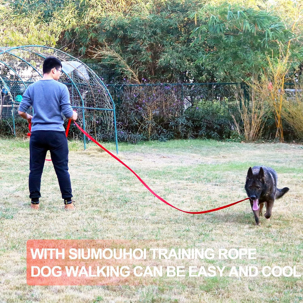 Dog/Puppy Obedience Recall Training Agility Lead -15ft 20ft 30ft 40ft 50ft Training Leash - Great for Play, Camping, or Backyard - Purple 50ft