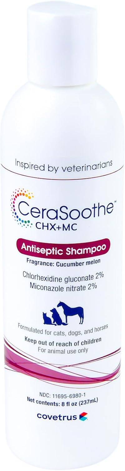 Shampoo & Conditioner