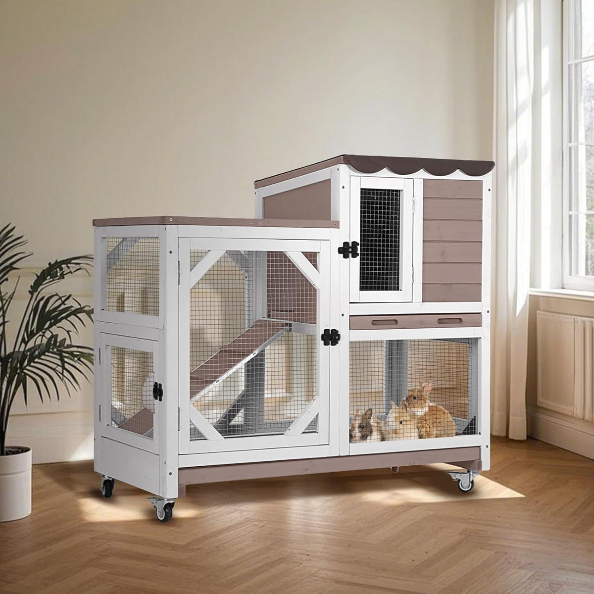 Houses & Habitats