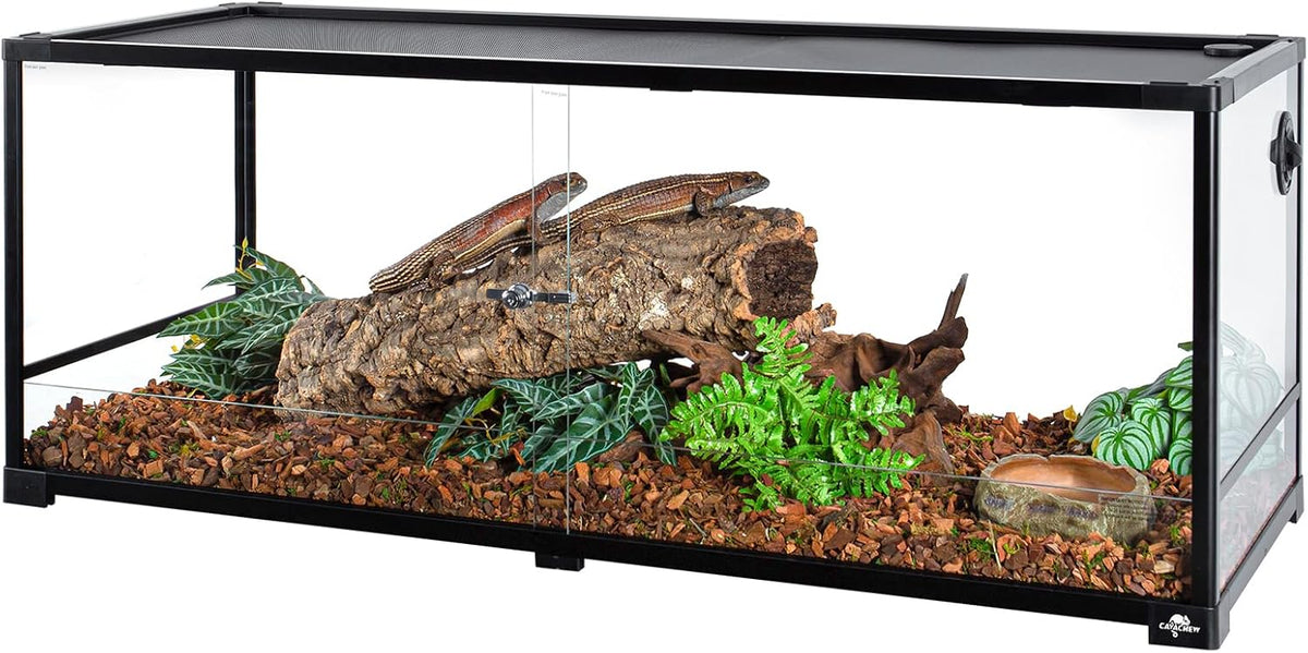 Terrariums
