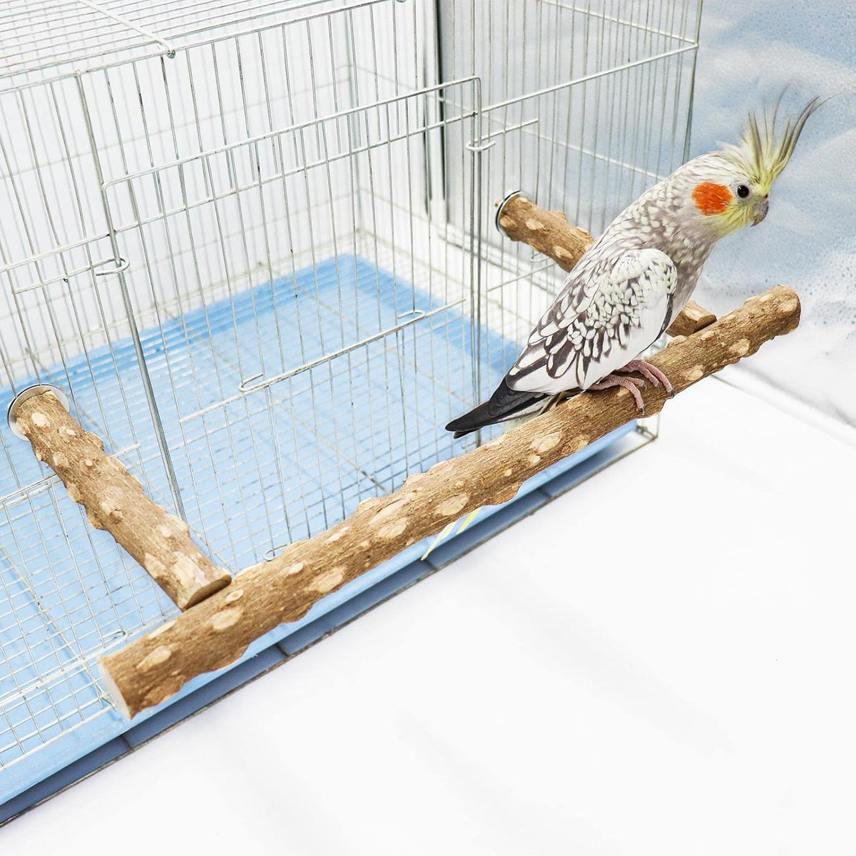 Birdcage Accessories