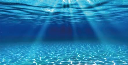 Natural Undersea Aquarium Background, Underwater Ocean Sunlight Fish Tank Background 36X18IN with 8 EVA Double-Sided Tape
