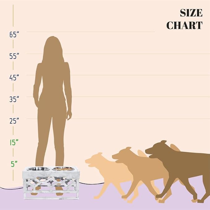 AVERYDAY Elevated Dog Bowls, 4 Height Adjustable Stand for Small and Medium Dogs, Raised Dog Feeder Holder with 2 Stainless Steel Food and Water Bowls, Anti-Slip Base Tall Feeding Station