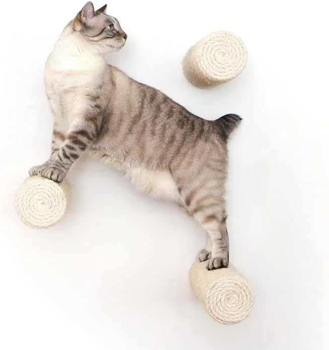 Catastrophic Creations Floating Cat Scratching Post, Hand-Crafted Sisal Cat Scratcher Post, Wall Cat Shelves & Scratching Posts for Indoor Cats, Durable & Modern Cat Furniture (1 Pc)