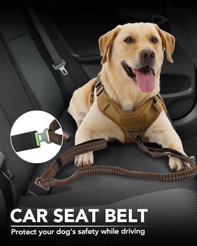 Joytale Tactical Bungee Dog Leash, Shock Absorbing No Pull, Brown | for Large Dogs That Pull, 2 Padded Handles for Control, Car Seatbelt Clip, Reflective for Night Safety, Metal Frog Clip