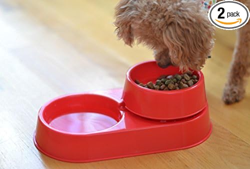 The 3-in-1 Ant Free Pet Dish