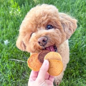 Farm To Pet - Puppy Packs 'N Snacks Dog Treat Starter Pack - Turkey 4oz + 1 Chicken & 1 Beef & 1 Fish Snack Pack - Single Ingredient Training Treats, All Natural, Lean for Small, Medium, Large Breeds