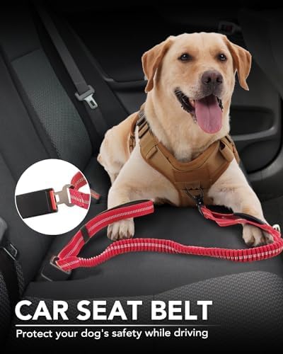 Joytale Tactical Bungee Dog Leash, Shock Absorbing No Pull, Red | For Large Dogs That Pull, 2 Padded Handles for Control, Car Seatbelt Clip, Reflective for Night Safety, Metal Frog Clip