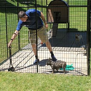 K9 Kennel Store In-Ground Dog Kennel Septic Tank - Efficient Waste Management & Sanitation Solution for Your Pet's Comfort.