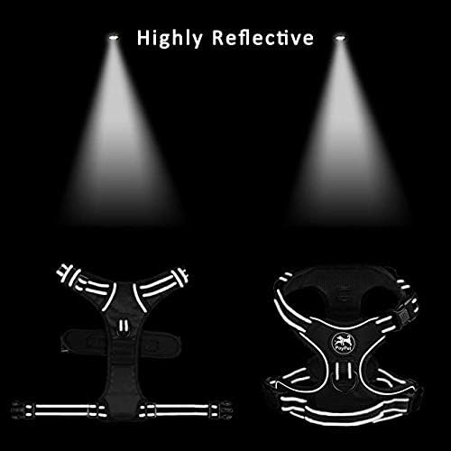 PoyPet No Pull Dog Harness Small with Front Clip & Neck Release Buckle | No Choke, Adjustable Vest, Reflective, Back Clip, Lockable, Soft Padded Handle for Walking Training, S, Light Blue