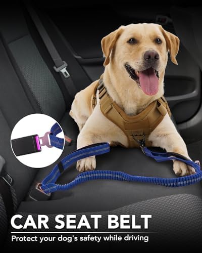 Joytale Tactical Bungee Dog Leash, Shock Absorbing No Pull, Navy Blue | For Large Dogs That Pull, 2 Padded Handles for Control, Car Seatbelt Clip, Reflective for Night Safety, Metal Frog Clip