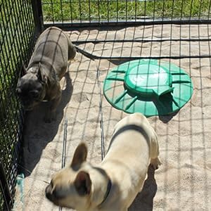 K9 Kennel Store In-Ground Dog Kennel Septic Tank - Efficient Waste Management & Sanitation Solution for Your Pet's Comfort.