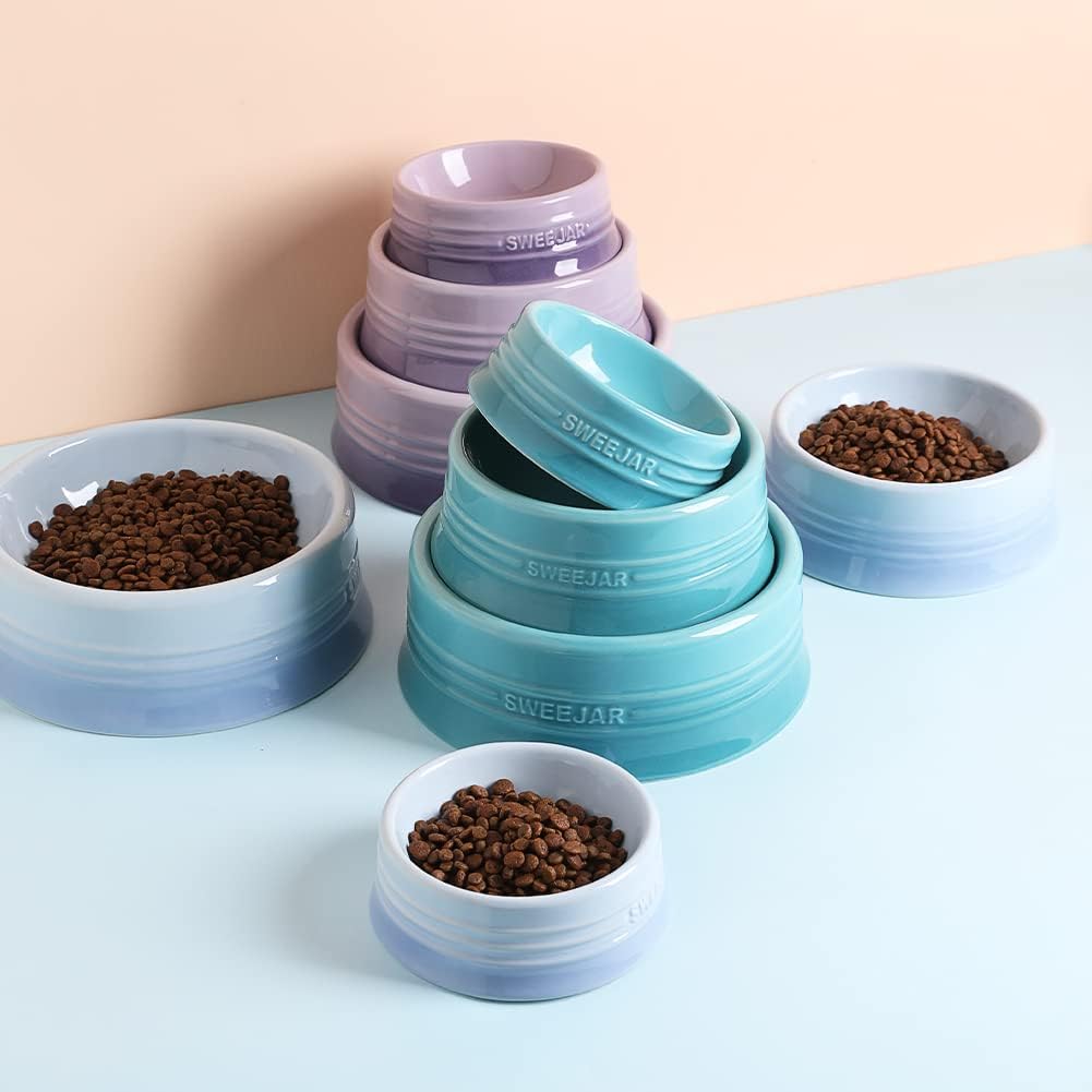 Sweejar Gradient Dog Bowl, Ceramic Dog Food Dish for Large Dogs and Large Cat, Porcelain Pet Bowl for Food and Water 32 oz (Gradient Light Blue)