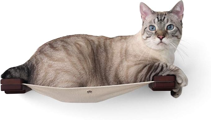 CatastrophiCreations Cat Lounge Hammock Wall Mounted Lounger for Climb and Play Furniture Cat Tree Shelves
