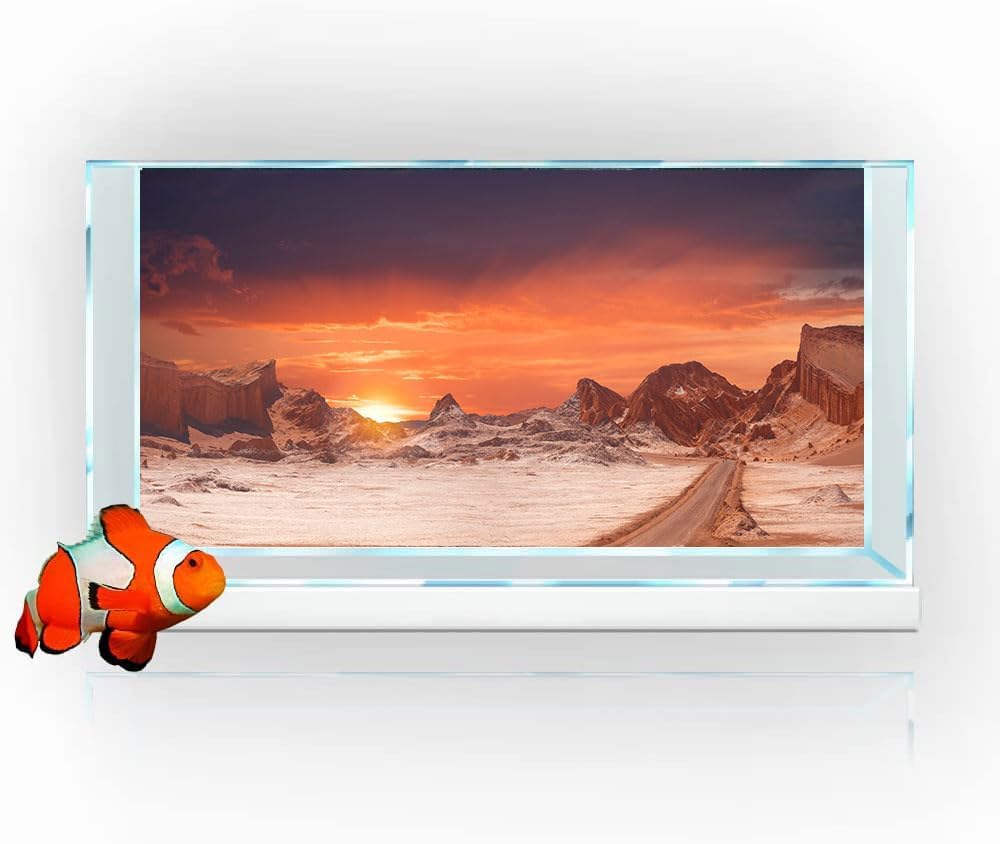 72X18IN Sun and Desert Moon Themed Reptile Habitat on Orange Durable Decorative Background, Terrarium Background with 10EVA Double-Sided Tape