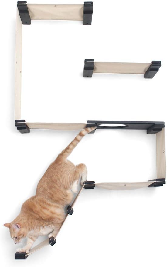 CatastrophiCreations Cat Fort Set - Multiple-Level Cat Hammock & Climbing Activity Center Wall-Mounted Cat Tree Shelves