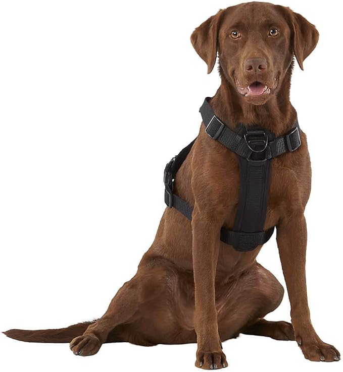 KONG Ultra Durable Waste Bag Harness (Medium, Black)