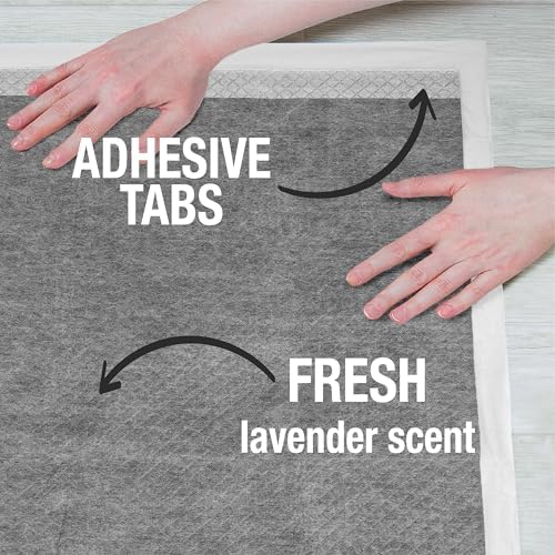 Nature's Miracle Bundle | Advanced Training Pads 80ct Lavender Scent & Advanced Stain & Odor Removing Spray 32oz