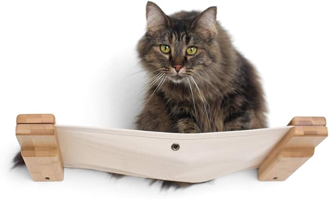 CatastrophiCreations Cat Lounge Hammock Wall Mounted Lounger for Climb and Play Furniture Cat Tree Shelves