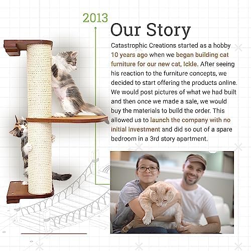CatastrophiCreations Lift Wall Mounted Cat Tree Shelves, Onyx/Natural, One Size