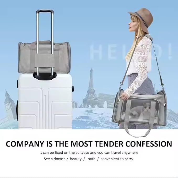 Durable Expandable Pet Carrier - Airline Approved Cat Bag for Travel, Comfortable & Breathable, Ideal for Cats and Small Dogs, Perfect for Short and Long Trips