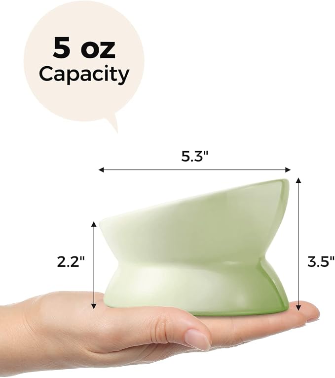 LoeJan Elevated Cat Food Bowl, 5 Oz Ceramic Raised and Tilted Water Bowl, Anti Vomiting and Protect Pets' Spines Dishes for Small Dog, Fat Faced Cat, Kitten (Green, 1 Pack)
