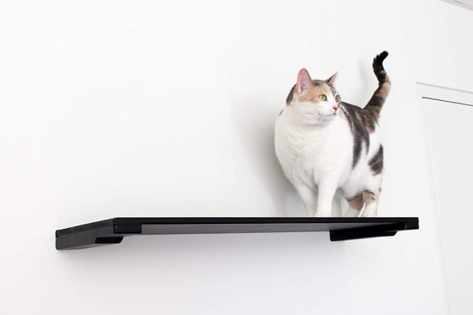 CatastrophiCreations 34" Cat Shelf Wall Mounted Elevated Climb, Lounge and Play Furniture Cat Tree Shelves
