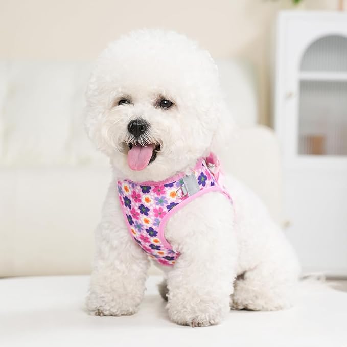 Step in Dog Harness and Leash Set, Flower Adjustable Easy Walk Puppy Harnesses, Soft Mesh No Pull Pet Vest Harness for Small Medium Dogs(Flower, S)