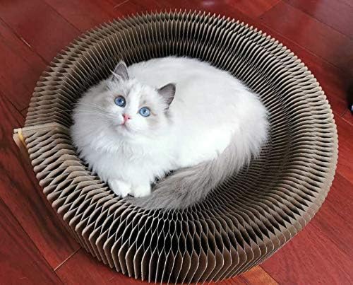 Cat Scratcher Lounge Bed - Collapsible Round Shape for Big Cat, Honeycomb Paper, 20 Inch
