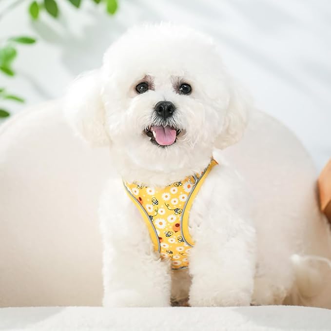 Step in Dog Harness and Leash Set, Flower Adjustable Easy Walk Puppy Harnesses, Soft Mesh Pet Vest Harness Small Size Dog Adjustable No Pull Dog Harness for Small Dogs and Cats(Bee, XXS)