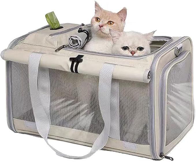 Pet Carrier Bag for Cats & Small Dogs, Airline Approved Travel Cat Carrier with Mesh Windows, Shoulder Strap & Removable Mat, Foldable Design for Home & Outdoor Trips