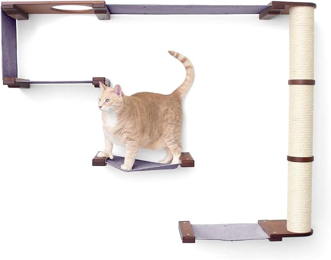CatastrophiCreations Climb - Multiple-Level Cat Hammock & Climbing Activity Center Wall-Mounted Cat Tree Shelves