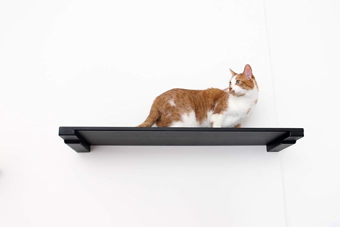 CatastrophiCreations 34" Cat Shelf Wall Mounted Elevated Climb, Lounge and Play Furniture Cat Tree Shelves