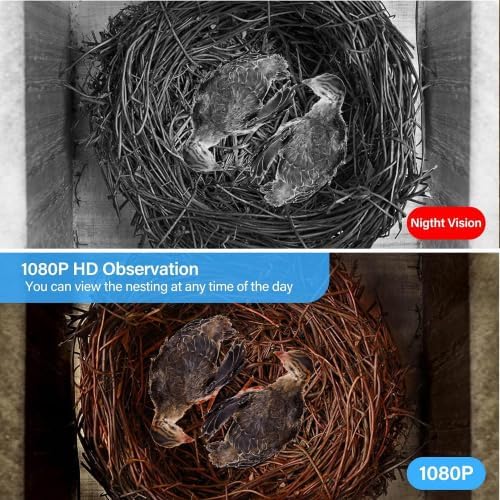 Smart Bird House with Camera, 1080p HD WiFi Outdoor Bird Box. Features Auto Capture Bird Video & Motion Detection, Night Vision, App Alerts and Serves as a Bird Nesting Box (Natural, Normal)