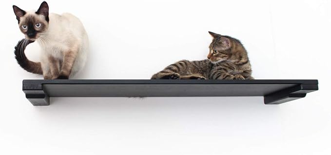 CatastrophiCreations 34" Cat Shelf Wall Mounted Elevated Climb, Lounge and Play Furniture Cat Tree Shelves