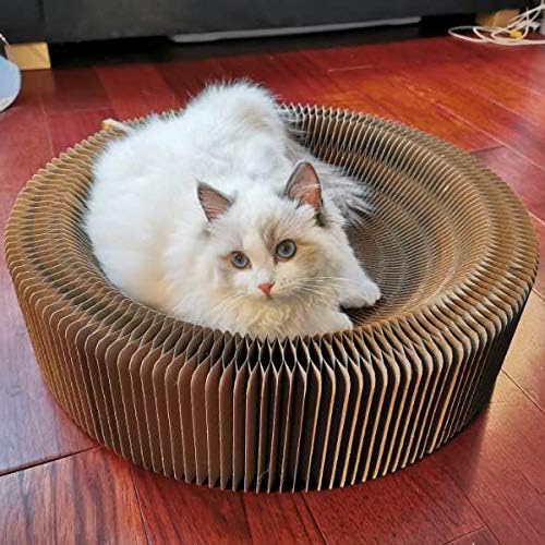 Cat Scratcher Lounge Bed - Collapsible Round Shape for Big Cat, Honeycomb Paper, 20 Inch