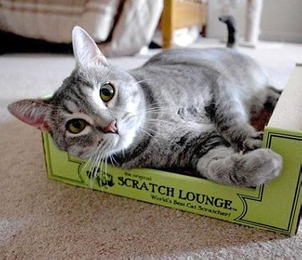 The Original Scratch Lounge XL - Worlds Best Cat Scratcher - Includes Catnip