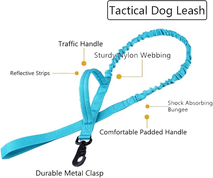 Tactical Dog Collar and Leash Set for Large Dogs with Control Handle,Blue | 1000D Heavy-Duty Nylon Fabric,Quick-Release Metal Buckle,Adjustable Fit,Soft-Padded Webbing,D-Ring,for Training & Hiking,XL