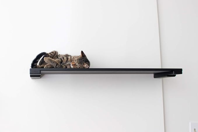 CatastrophiCreations 34" Cat Shelf Wall Mounted Elevated Climb, Lounge and Play Furniture Cat Tree Shelves