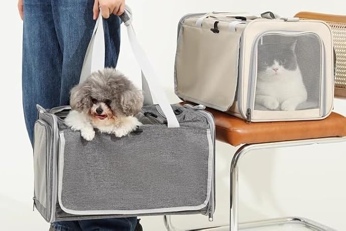 Pet Carrier Bag for Cats & Small Dogs, Airline Approved Travel Cat Carrier with Mesh Windows, Shoulder Strap & Removable Mat, Foldable Design for Home & Outdoor Trips