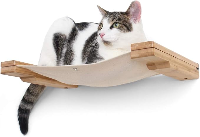 CatastrophiCreations Cat Lounge Hammock Wall Mounted Lounger for Climb and Play Furniture Cat Tree Shelve