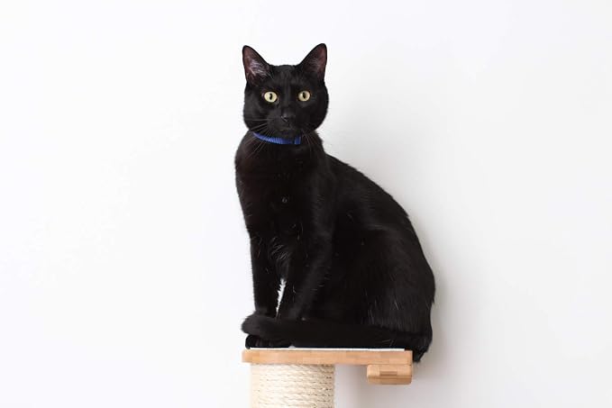 CatastrophiCreations 3-Tier Sisal Climbing Pole