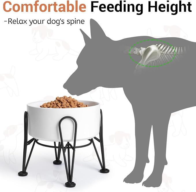 Elevated Dog Bowl, Ceramic Raised Dog Bowl with Anti-Slip and Non-Tip Metal Stand, 1 Pack Pet Food and Water Feeding Bowls for Small and Medium Dogs (White,3.6 Cups)