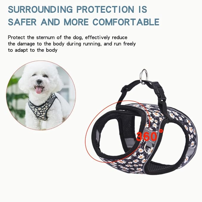Step in Dog Harness and Leash Set, Flower Adjustable Easy Walk Puppy Harnesses, Soft Mesh No Pull Pet Vest Harness for Small Medium Dogs(Daisy, S)