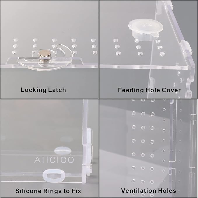 Aiicioo Micro Habitat Terrarium Enclosure 4x4x8 Inches Tarantula Enclosure Box Insect Habitat Clear Acrylic Reptile Feeding Tank for Jumping Spiders Insect Small Tree Dwelling Reptiles