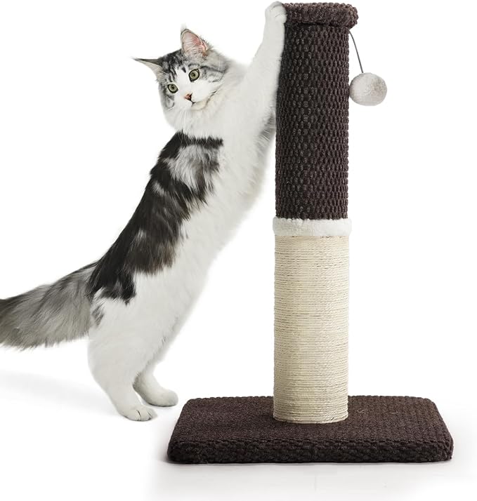 Made4Pets Cat Scratching Post with Sisal & Carpet for Indoor Cats, 23.6" | Cat Scratcher with Wide Stable Base, Interactive Hanging Toys, Ideal for Kittens, Small Cats and Everyday Indoor Play