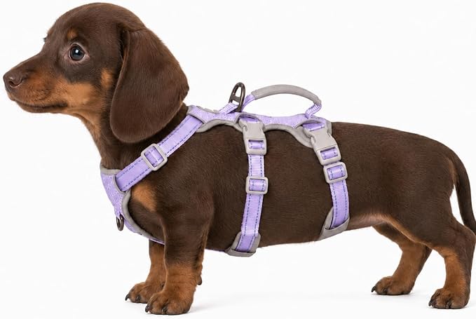 Escape Proof Dog Harness,Secure Dog Harness No Escape,Fully Reflective Harness with Handle,Breathable,Durable,Adjustable Vest for Small Dogs Walking,Training & Running Gear(Lavender Purple,XS)