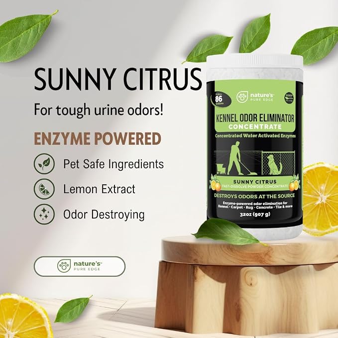 Nature's Pure Edge Enzyme Powder Concentrate, Sunny Citrus | Makes 86 Gallons, Professional Use for Kennel and Pet Odor Elimination, Removes Urine Poop from Carpets Floors